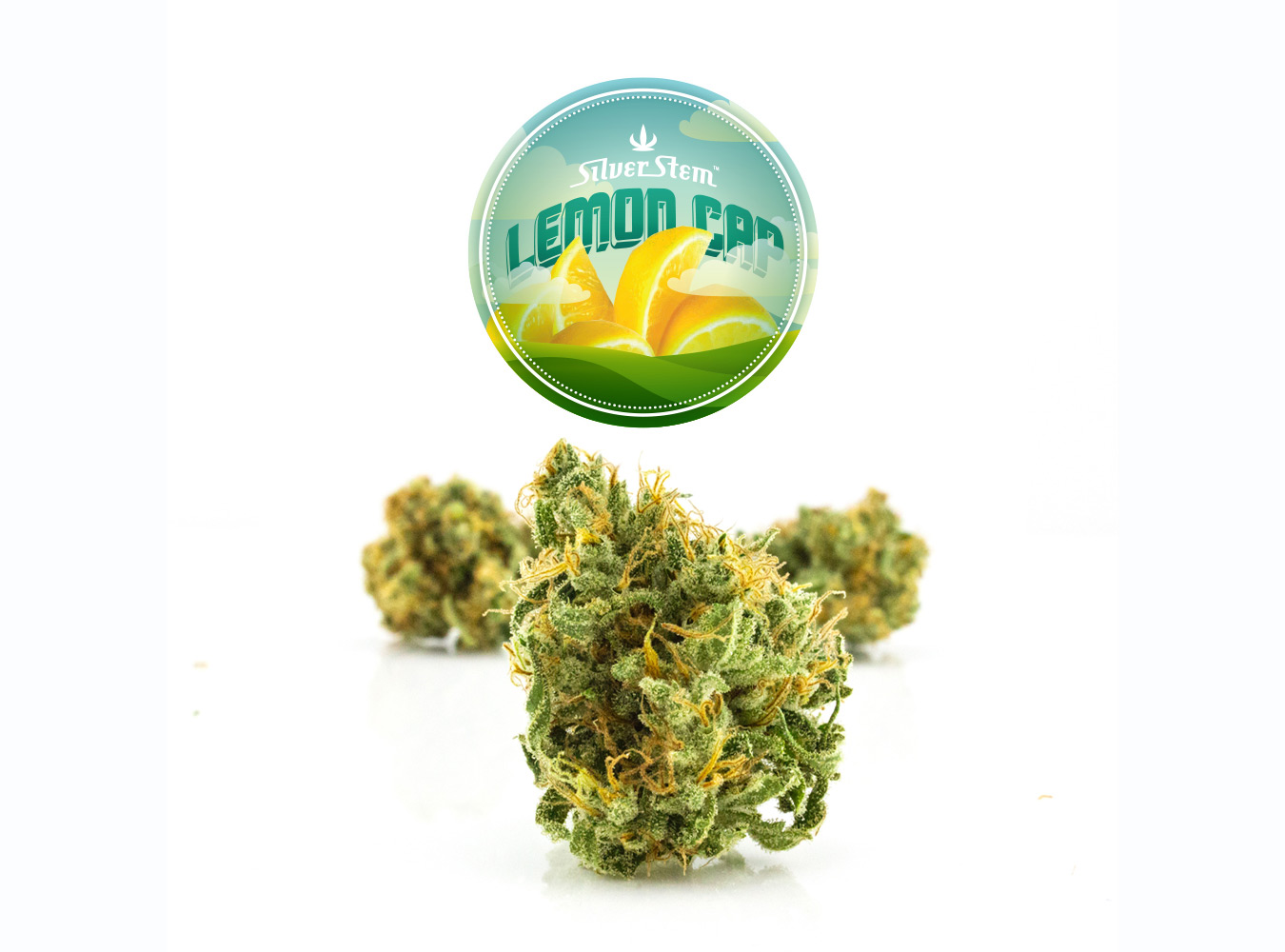 Lemon Cap