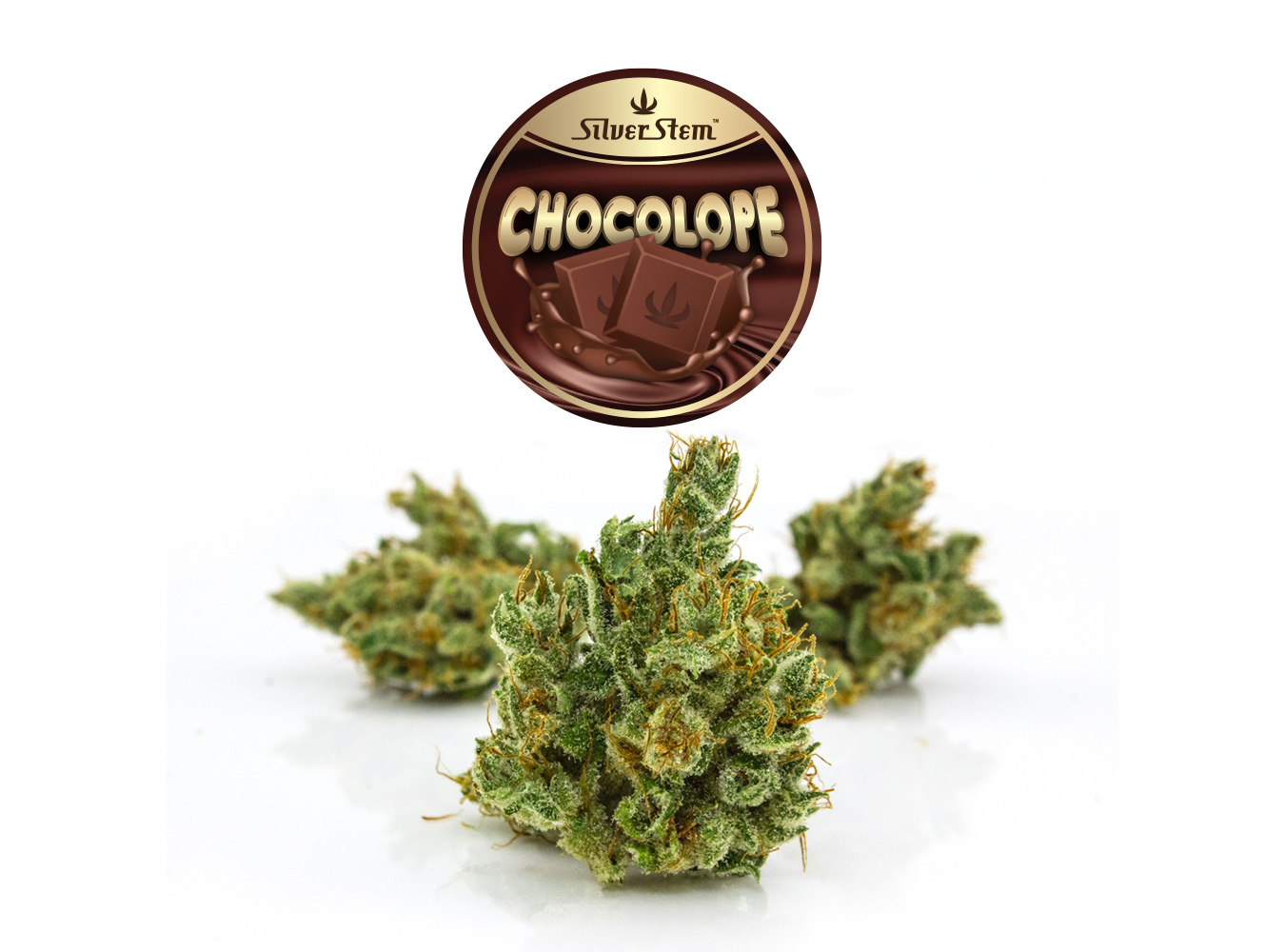 Chocolope