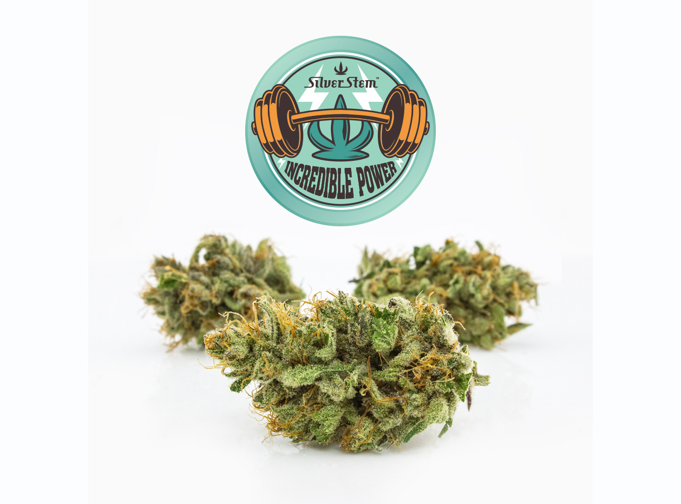 Incredible Power CBD 1:1