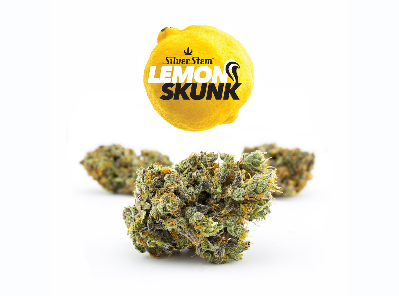 Lemon Skunk