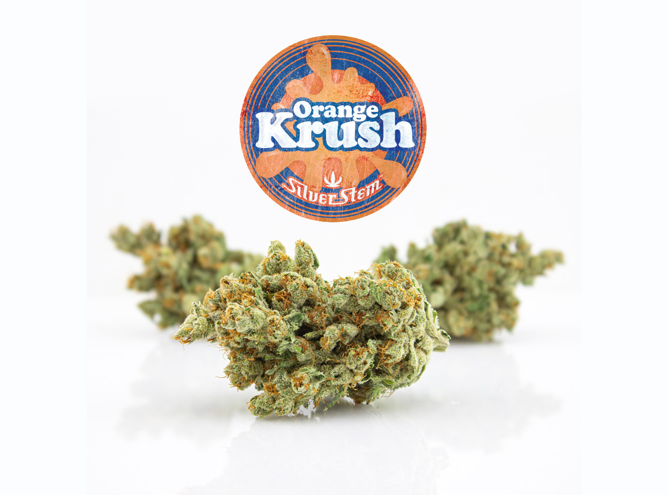 Orange Krush