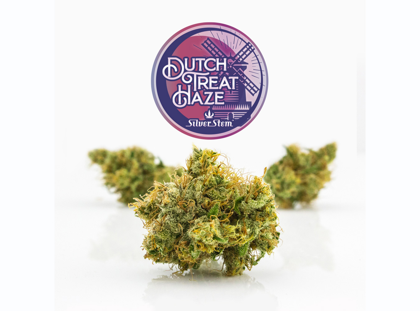 Dutch Treat Haze